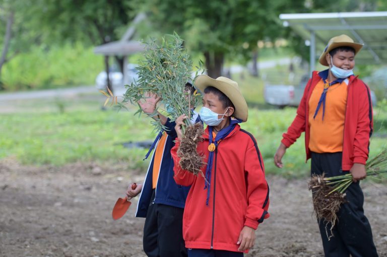 สำนักงานโครงการยุทธศาสตร์การพัฒนาท้องถิ่นรวมพลังเยาวชน ปลูกไผ่เพื่อการค้าเชิงพาณิชย์ ใช้ประโยชน์ครบวงจร