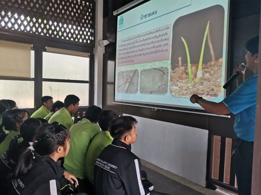 โรงเรียนสาธิตมหาวิทยาลัยราชภัฏเพชรบุรี ทัศนศึกษาจังหวัดประจวบคีรีขันธ์